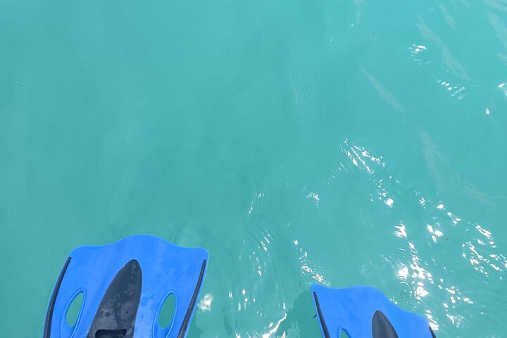 Full Day Tour with Fishing and Snorkeling from Holbox