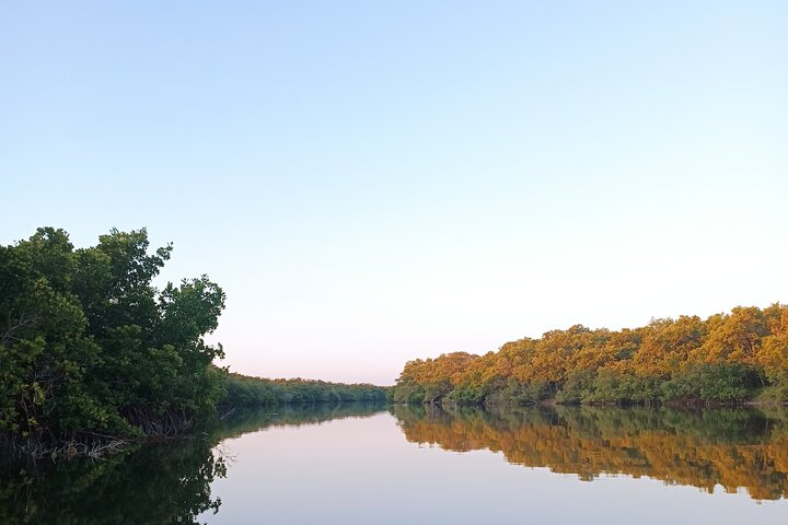 Kayak Experience in the Mangroves of Holbox Island