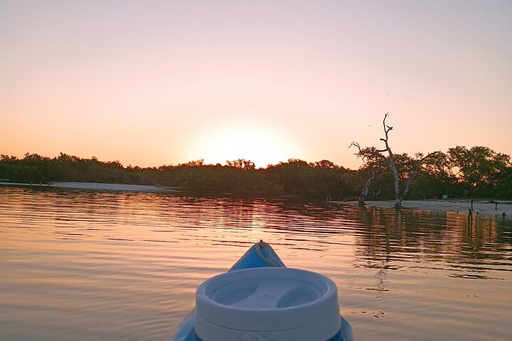 Kayak Experience in the Mangroves of Holbox Island