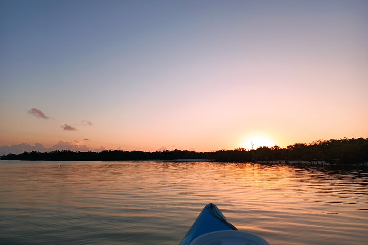 Kayak Experience in the Mangroves of Holbox Island