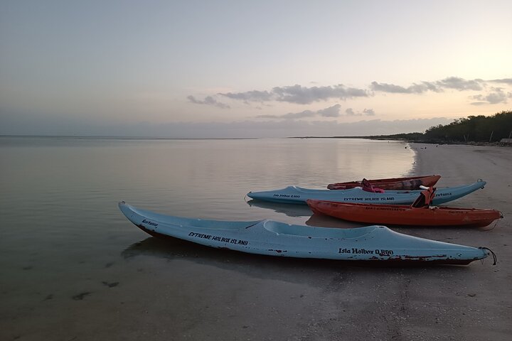 Kayak Experience in the Mangroves of Holbox Island