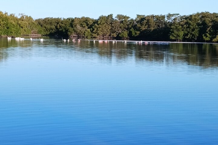 Kayak Experience in the Mangroves of Holbox Island