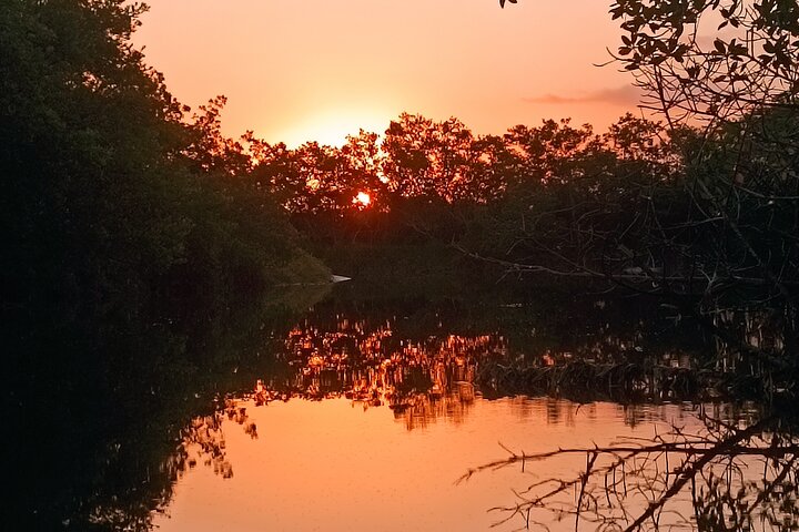 Kayak Experience in the Mangroves of Holbox Island