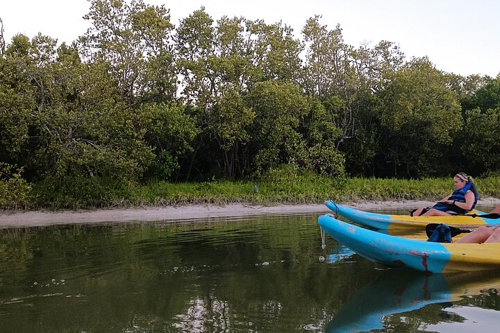 Kayak Experience in the Mangroves of Holbox Island