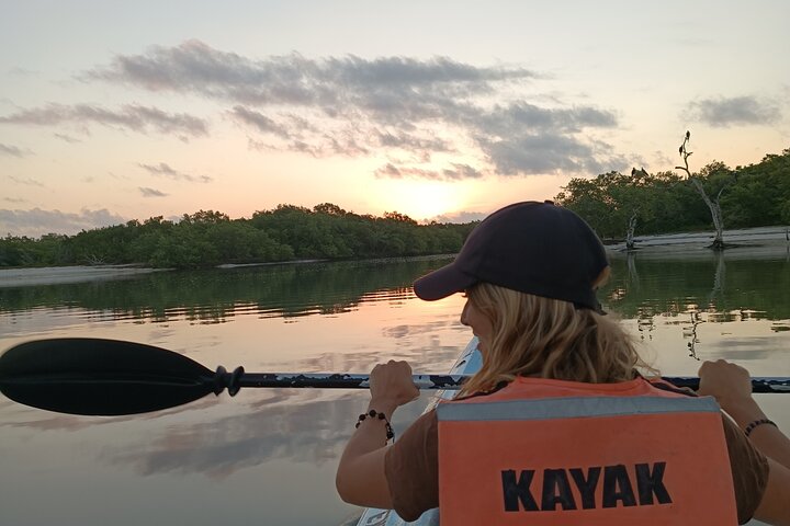 Kayak Experience in the Mangroves of Holbox Island