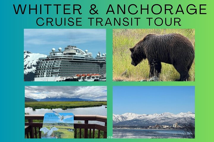 Whittier Cruise Transfer with Wildlife&Glacier tour to Anchorage