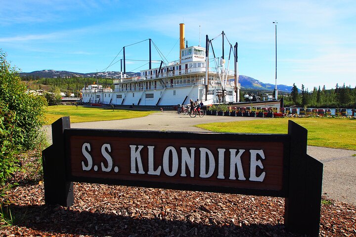 Discover Whitehorse with Northern Lights and Yukon Wildlife Tour