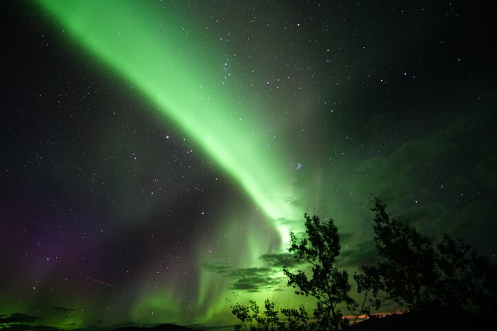Discover Whitehorse with Northern Lights and Yukon Wildlife Tour