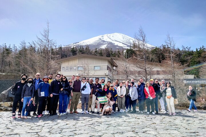 Mt Fuji and Hakone 1-Day Bus Tour Return by Bullet Train