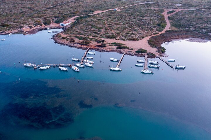 Boat trip through the coves of northern Menorca from Fornells