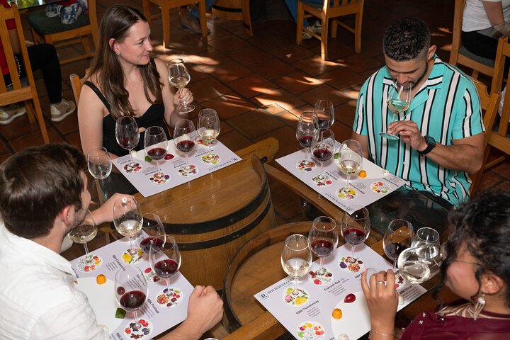Wine Tour: Paarl, Franschhoek & Stellenbosch incl 3 wineries