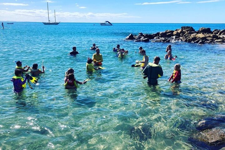Private Rincon Snorkeling Adventure