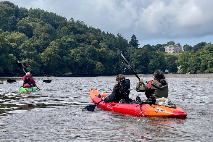 Half Day Guided Canoe Trip in Totnes