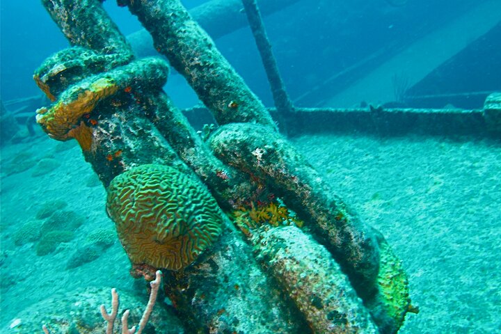 Shipwreck Snorkel in Bermuda