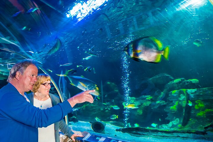 SEA LIFE Konstanz Admission Ticket