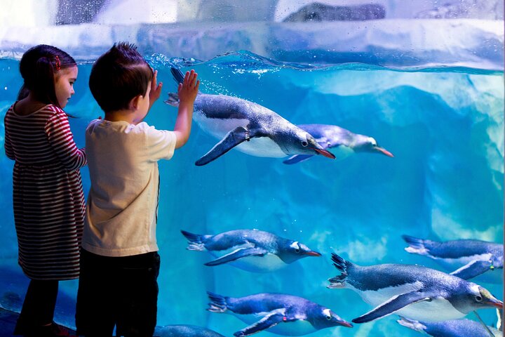 SEA LIFE Konstanz Admission Ticket