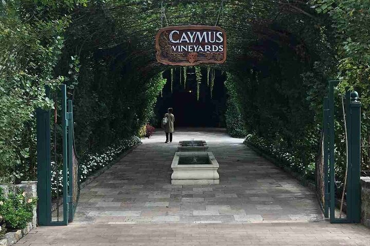 6 Hour Napa or Sonoma Valley Wine Tour by Private SUV