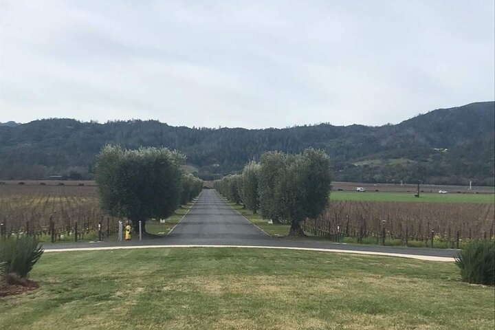 6 Hour Napa or Sonoma Valley Wine Tour by Private SUV