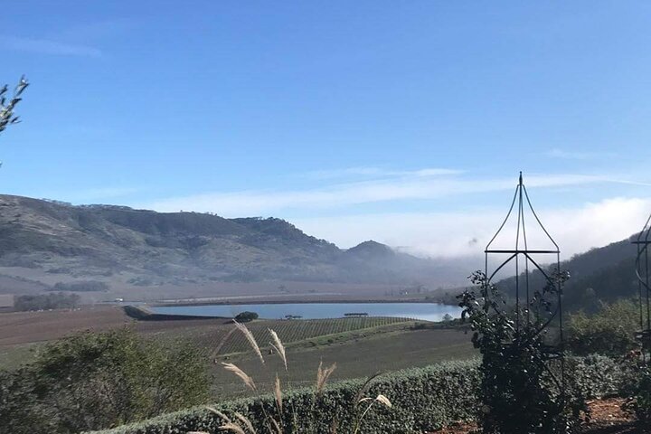 6 Hour Napa or Sonoma Valley Wine Tour by Private SUV