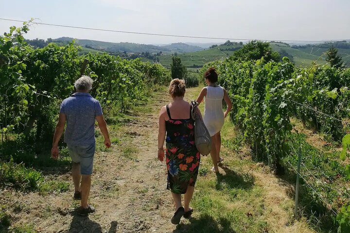 Authentic Piedmont small producers wine tour with a Sommelier