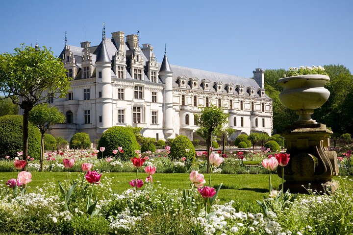 Half Day Private Trip Chenonceau Loire Valley Castle
