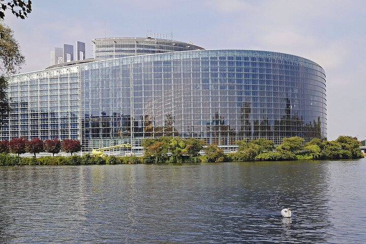 Private day trip from Frankfurt to Strasbourg local driver