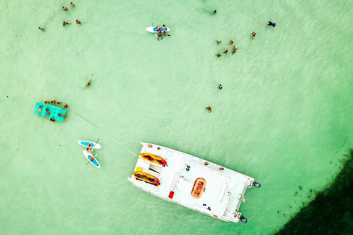 All-Inclusive Sandbar Safari with Dolphin Playground Encounter