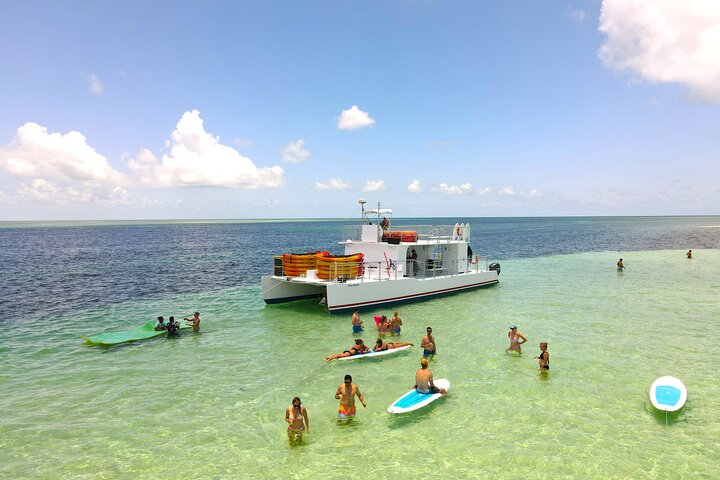 All-Inclusive Sandbar Safari with Dolphin Playground Encounter