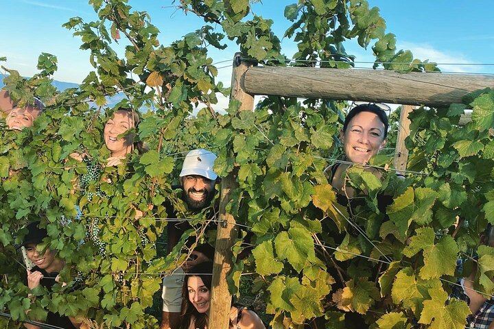 West Kelowna with Wine Tour Guide, Cherry! Afternoon tours.