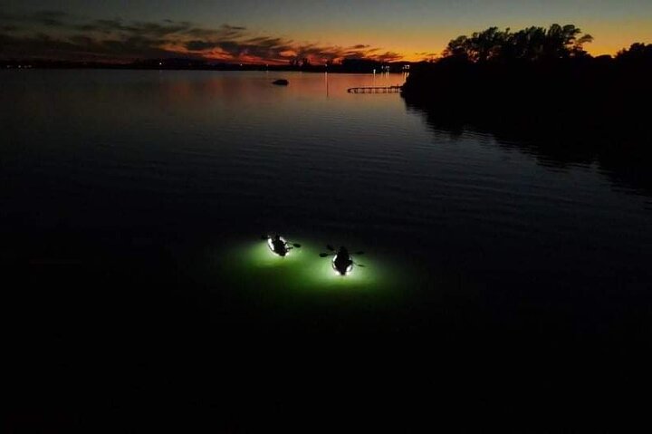 Sarasota - Clear Kayak LED Night Glass Bottom Tour