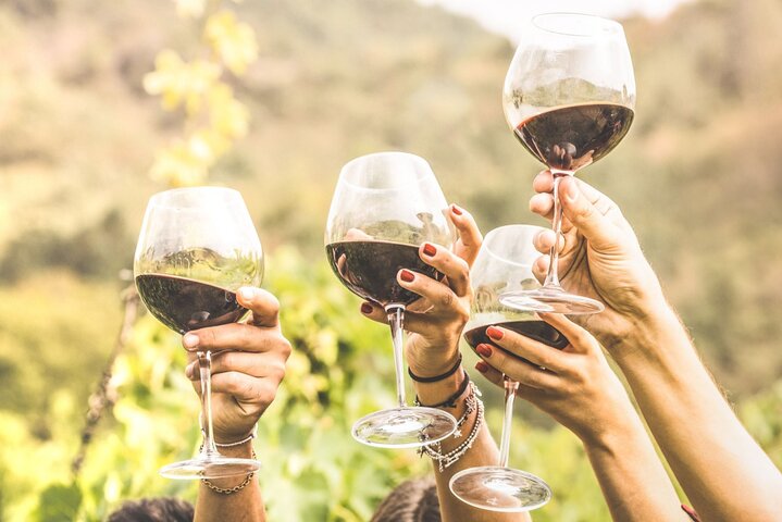 Private Full-Day Cultural Wine Tour in Historic Ithaca