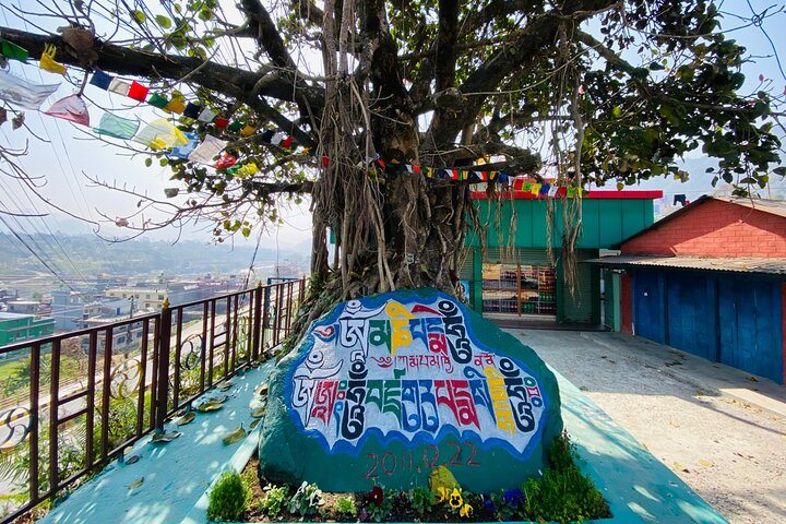 Afternoon Tibetan Cultural Tour to Tibetan Settlements Pokhara