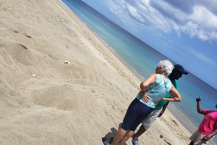 Island Tours of Tobago