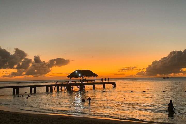 Island Tours of Tobago
