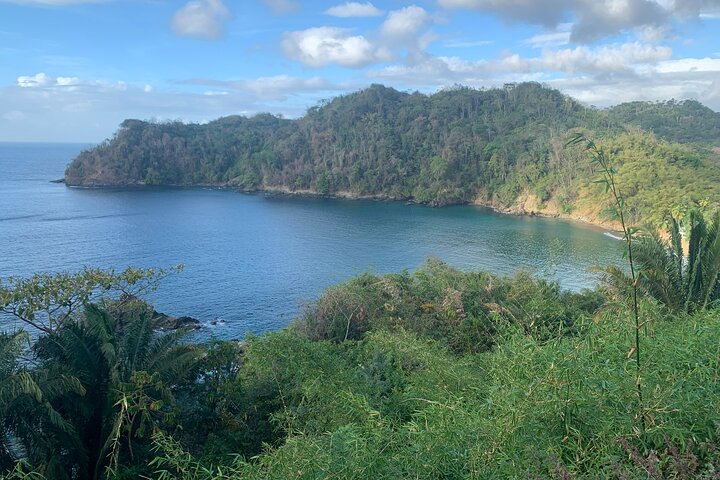 Island Tours of Tobago