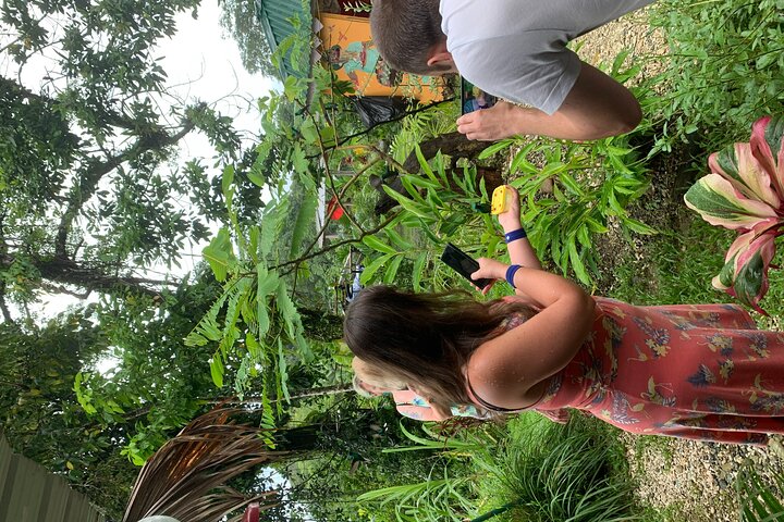 Island Tours of Tobago