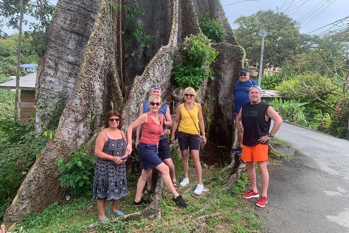 Island Tours of Tobago