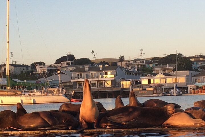 3-Hour Kayaking and Hiking in California’s Central Coast