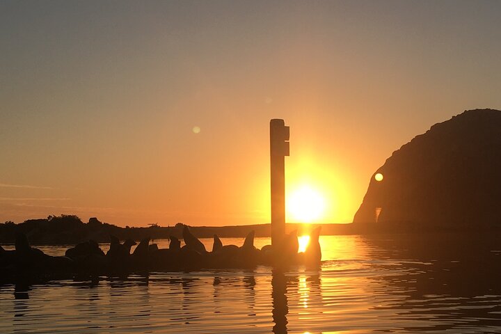 3-Hour Kayaking and Hiking in California’s Central Coast