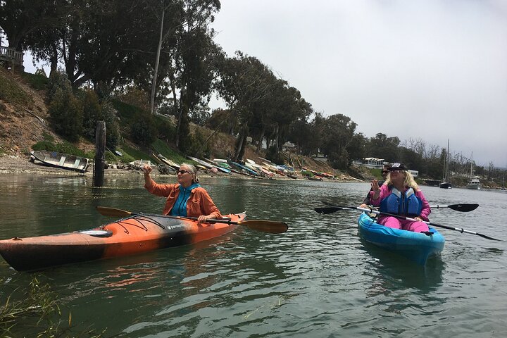 3-Hour Kayaking and Hiking in California’s Central Coast