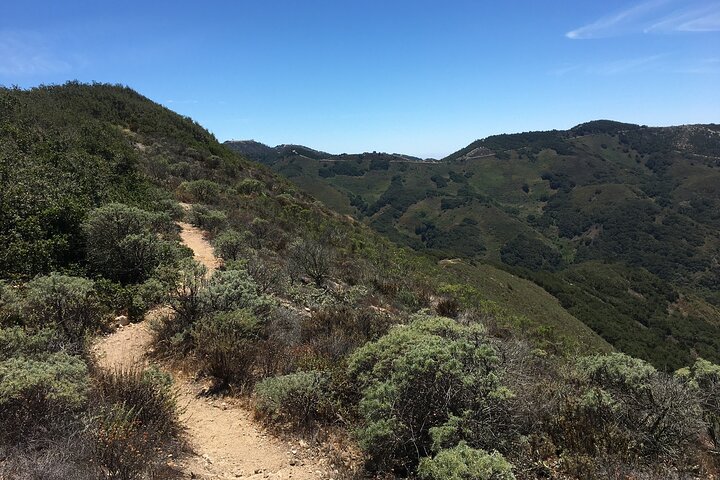 3-Hour Kayaking and Hiking in California’s Central Coast