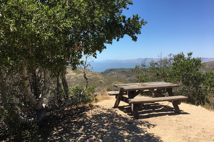 3-Hour Kayaking and Hiking in California’s Central Coast