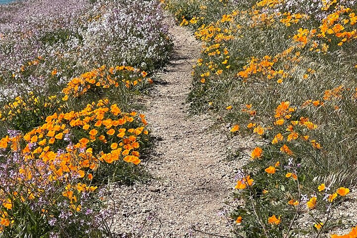 3-Hour Kayaking and Hiking in California’s Central Coast