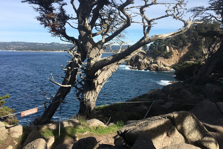 3-Hour Kayaking and Hiking in California’s Central Coast