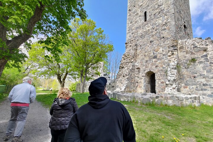 Viking History, Runes & Countryside 9h Tour to Sigtuna & Uppsala