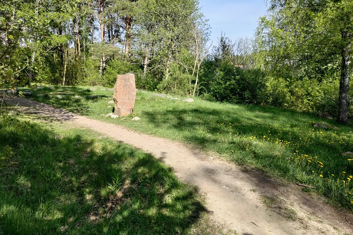Viking History, Runes & Countryside 9h Tour to Sigtuna & Uppsala