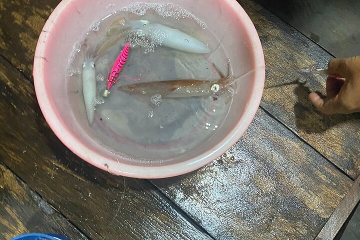Squid Fishing Tour at Nhon Ly, Vietnam