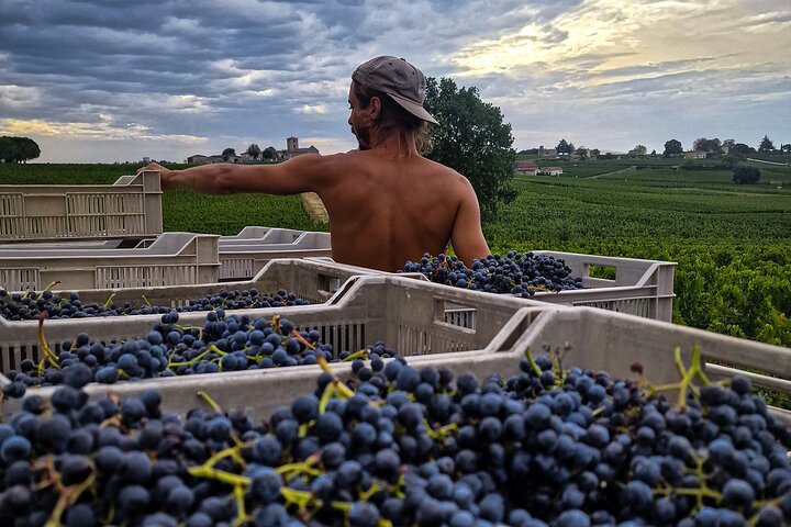Saint-Émilion Wine Tour By Premium Electric Bike, Lunch Included