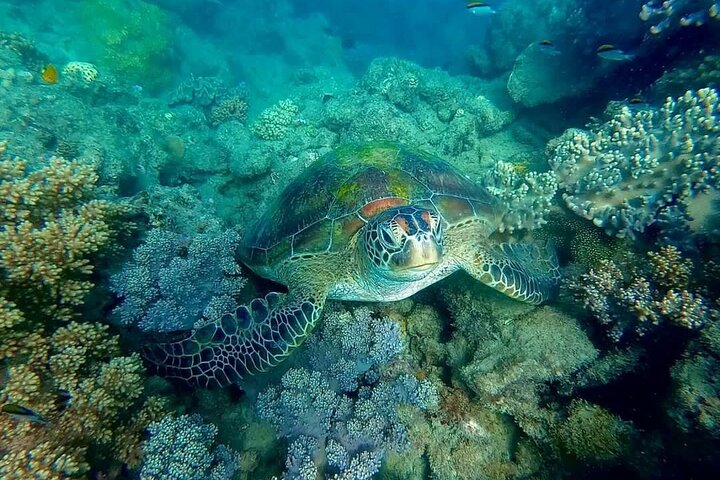 Private Standard Charter Experience in Whitsundays