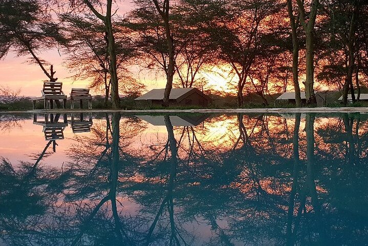 From Arusha: 11 Days famous Serengeti Inside out safari trip